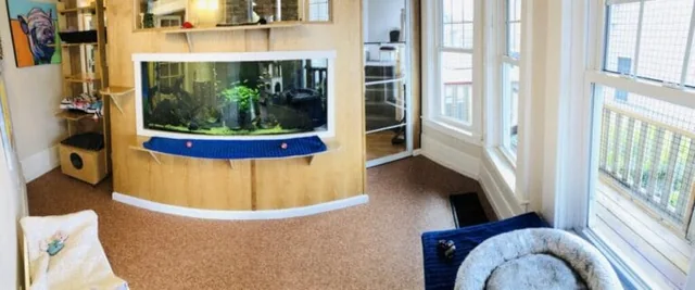 Aquarium Room at Mt Tabor