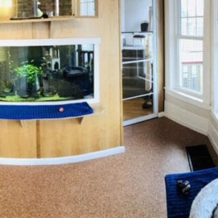Aquarium Room with private catio