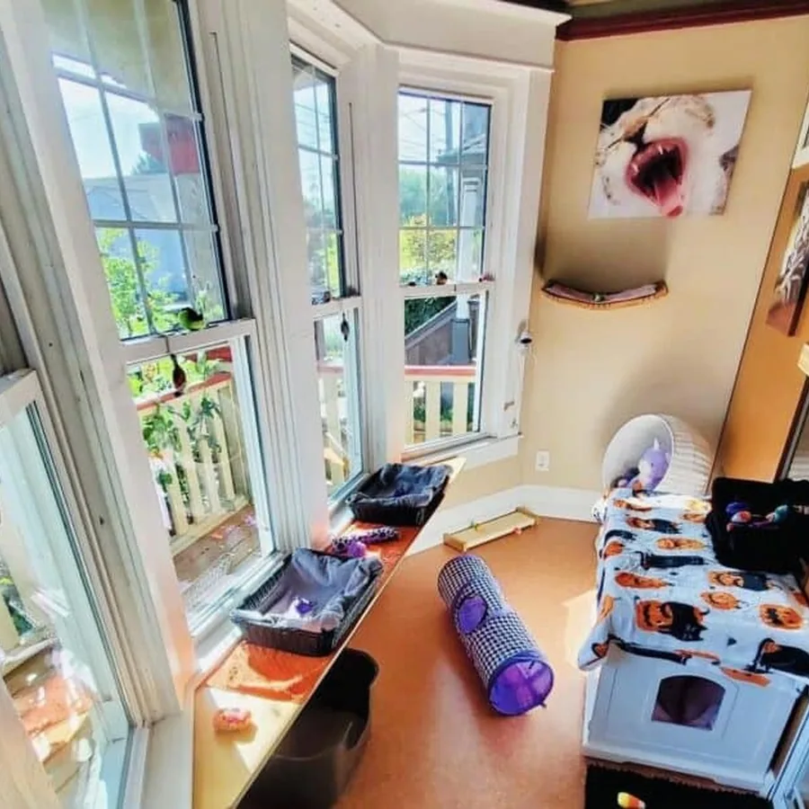 Bay-window private boarding room
