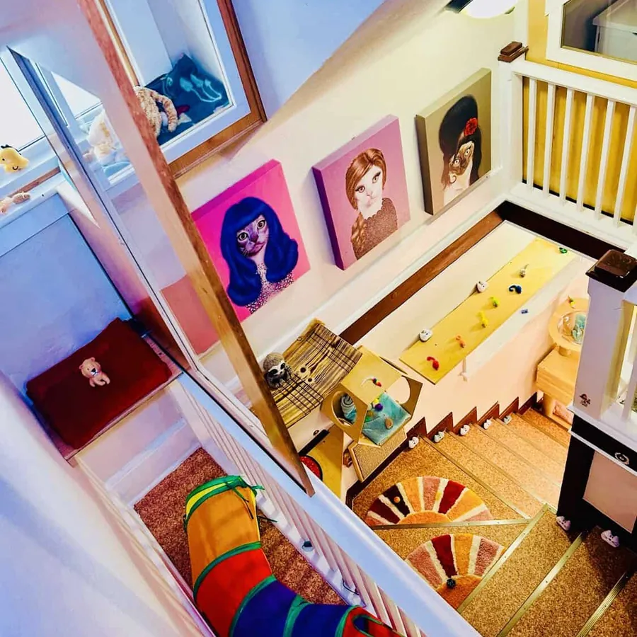 Vertical Mountaineer Room